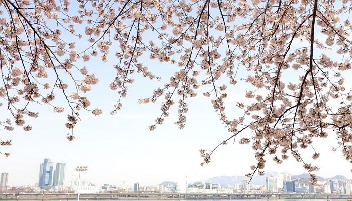 ‘별자리’로 알아보는 당신의 이번주 운세 (3월 마지막주)