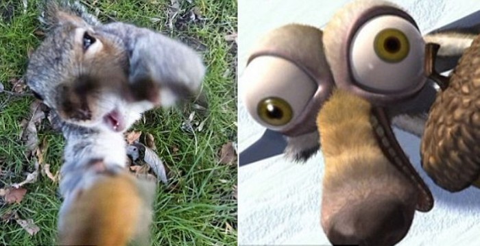 다람쥐는 땅콩이 너무 먹고 싶었다 (사진)