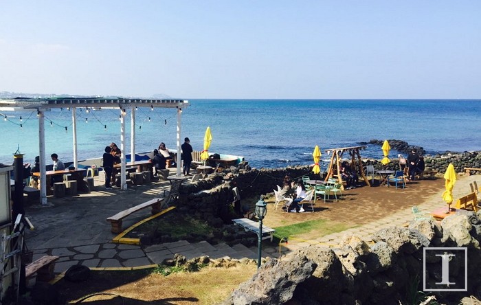 “50만원으로 특급호텔까지”...제주도 봄 관광 ‘특급 코스’