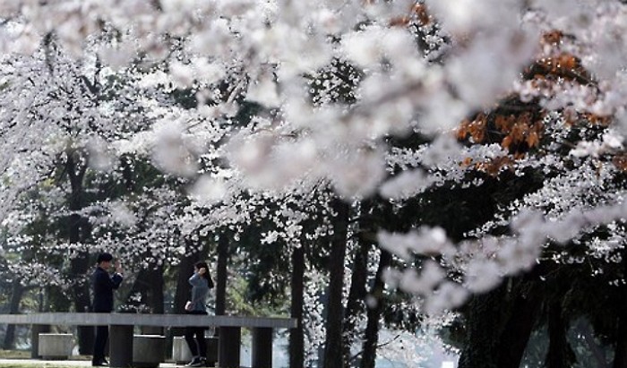 오늘 서울 낮 기온 21도...경남은 초여름 날씨