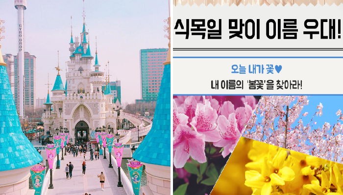 이름에 ‘봄꽃’ 글자 1개 이상 있으면 롯데월드 최대 반값 할인