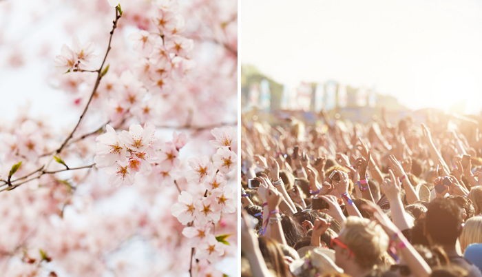 여의도 봄꽃 축제서 ‘벚꽃 콘서트’ 개최