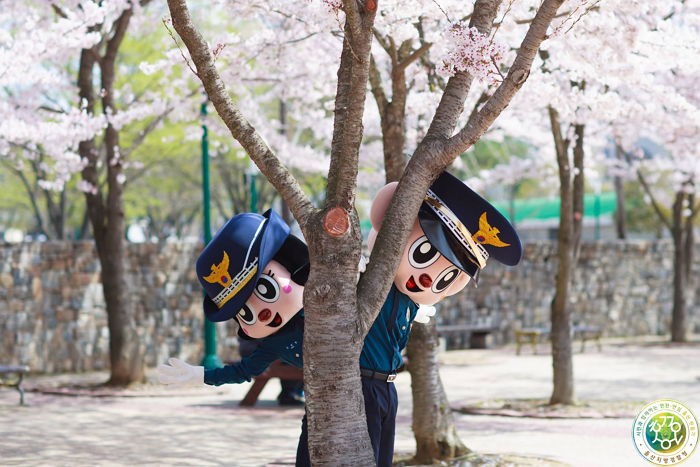 새 경찰복 갈아입고 꽃놀이간 포돌이·포순이