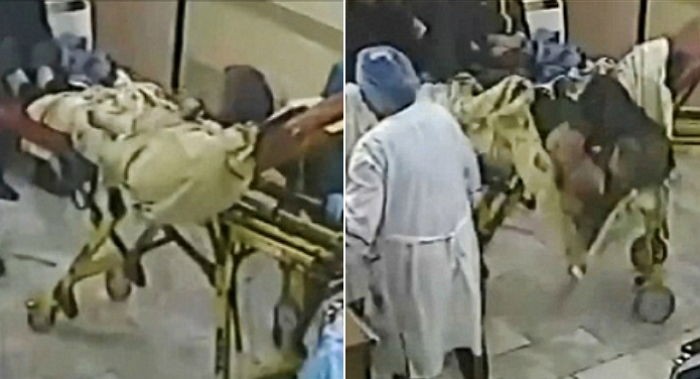 65세 남성은 응급실 침대서 떨어져 목숨을 잃었다 (사진)