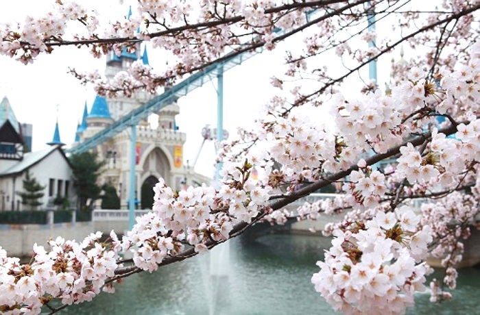 오늘(8일) 화창한 봄날씨…“주말 봄꽃 나들이 좋아요”