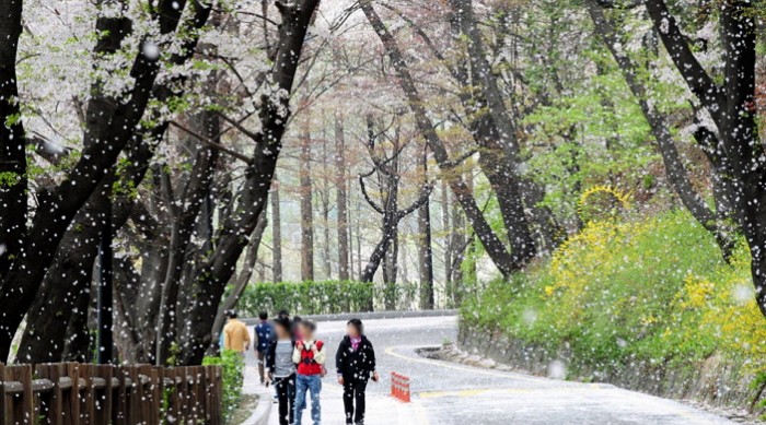 “주말 나들이 장소 못 정했다면 당장 ‘남산’으로 오세요”