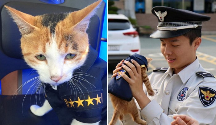 의경을 집사로 거느린 부산경찰 ‘몰랑이’네 (사진)