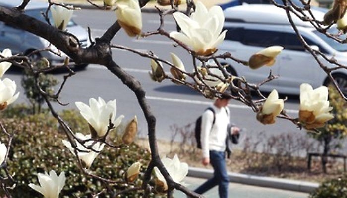 오늘(15일) 전국 맑고 일교차 큰 봄날씨…미세먼지 ‘보통’