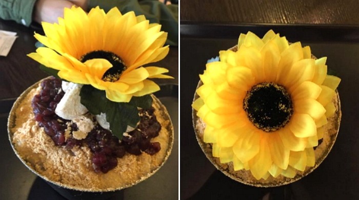 에버랜드가면 꼭 한번 먹어봐야 하는 ‘화분 빙수’