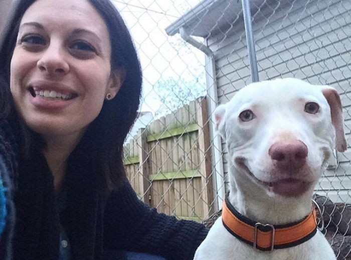 새 주인을 만난 이 유기견은 미소를 멈추지 못했다