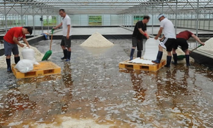 염전서 4년간 노예 노동 시키고 임금 500만원 준 악덕업주