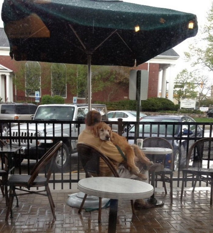 소나기가 내리자 주인은 강아지를 안고 천막 밑으로 피했다