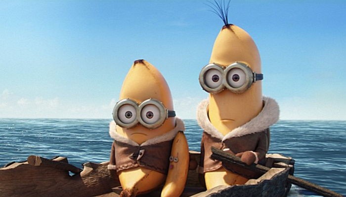 우리가 몰랐던 바나나에 대한 놀라운 사실 9가지