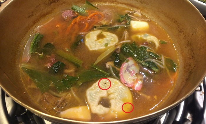 “채선당 샤브샤브집에서 날파리 16마리가 나왔습니다”