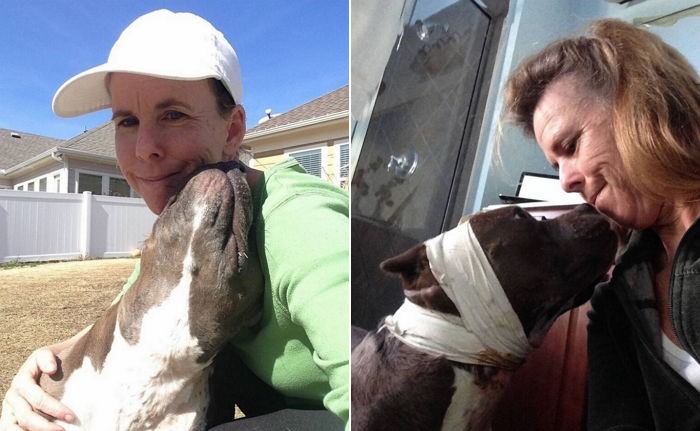 투견장에서 구조된 강아지는 뽀뽀를 멈추지 않았다