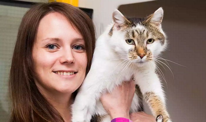 “죽은 줄 알았던 고양이가 6년만에 돌아왔어요”