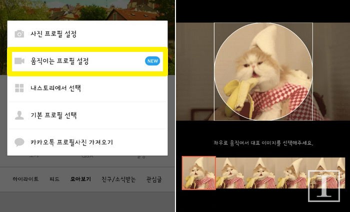 카톡 ‘움직이는 프로필 사진’ 설정하는 방법