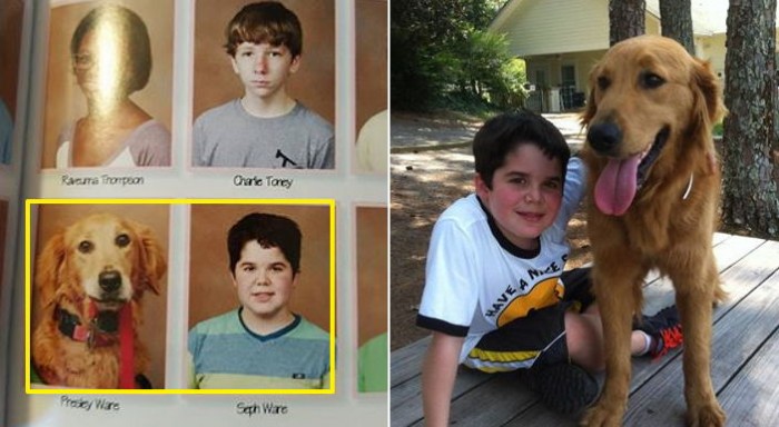 골든 리트리버가 졸업앨범에 등장한 특별한 이유