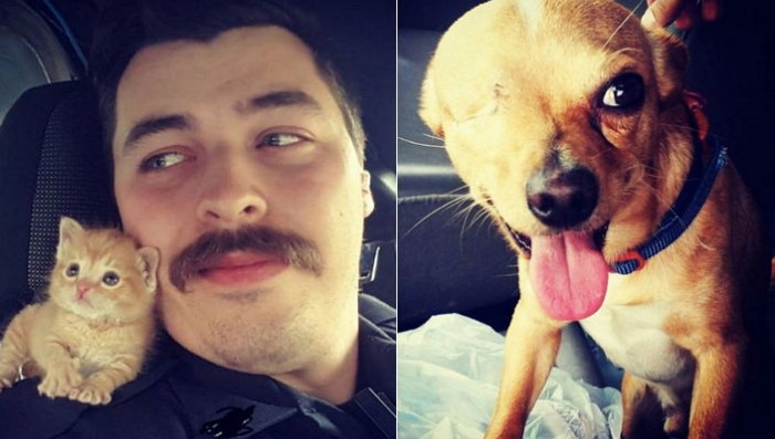 아기 고양이 구한 경찰관의 숨겨졌던 남다른 ‘선행’