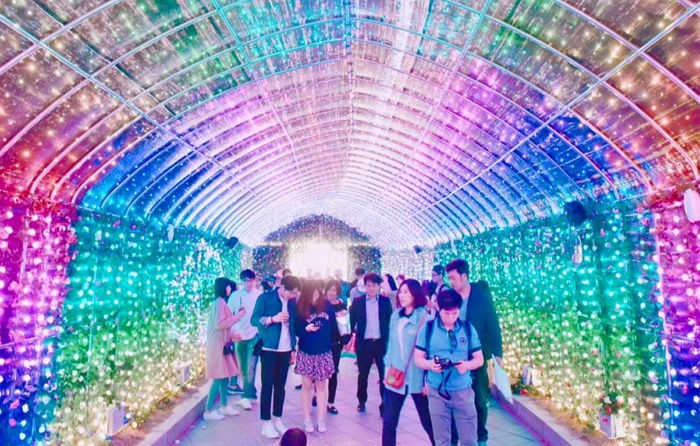 당장 출발하고 싶게 만드는 오늘자 ‘고양꽃박람회’ (사진)