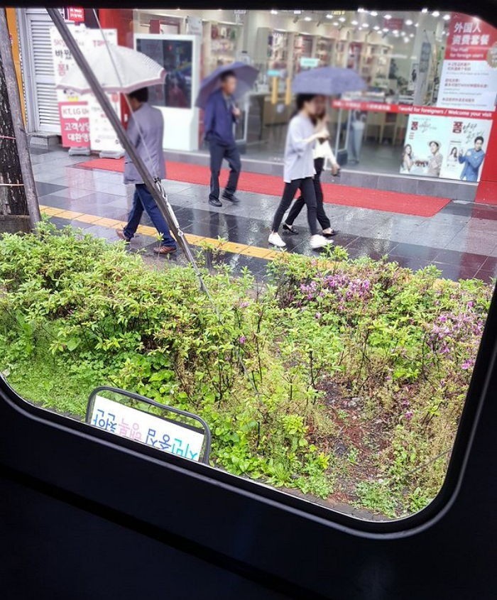 버스에 감금된 성추행범은 ‘창문’을 깨고 탈출했다