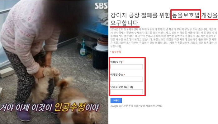 강아지 공장 철폐를 위한 동물보호법 개정을 요구합니다