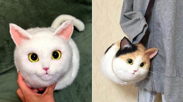 실제 고양이와 헷갈린다는 귀여운  ‘고양이 가방’