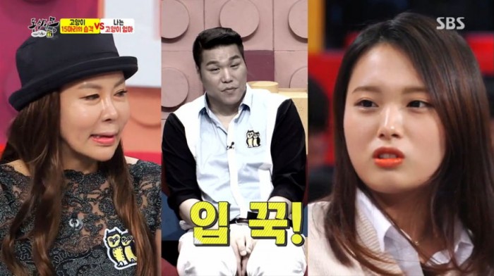 고양이 15마리 캣맘 “길냥이 불쌍” vs 딸 “갖다버려” (영상)