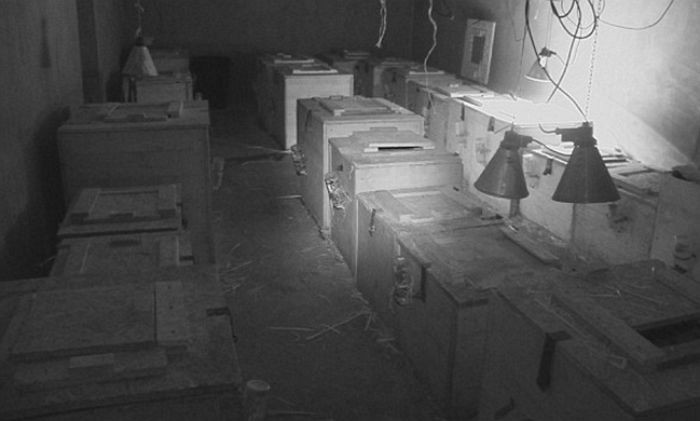 수천 마리 강아지 갇힌 강아지 농장의 충격 실태 (영상)