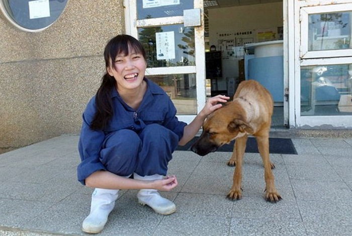 강아지 안락사를 시키던 수의사는 ‘악플’에 시달리다 결국 자살했다