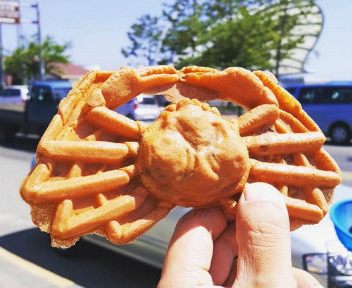 꽃게랑 맛 나는 울진 명물 ‘대게빵’ (사진)