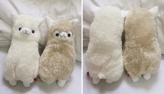 숨막히는 뒷태 자랑하는 폭신폭신 ‘알파카’ 필통