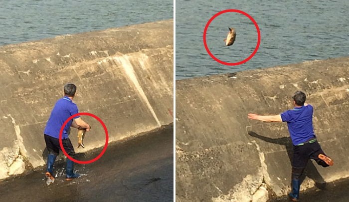 이 아저씨는 ‘몸보신(?)’보다 ‘잉어의 생명’이 중요했다