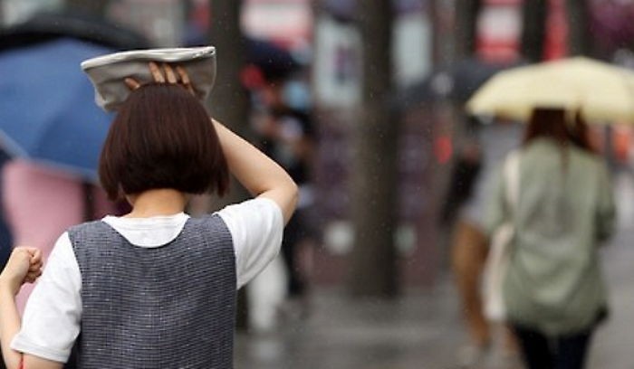 내일(14일) 낮 최고기온 31도...곳곳에 소나기