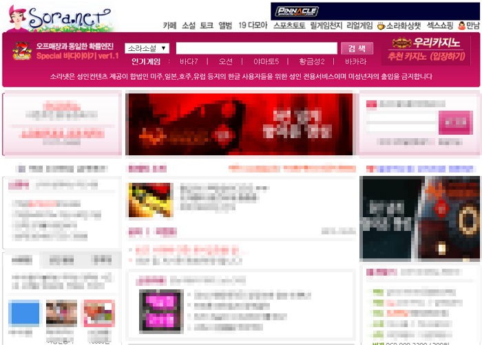 ‘소라넷’ 창립자는 서울대 출신 ‘엘리트 부부’…수백억대 수익