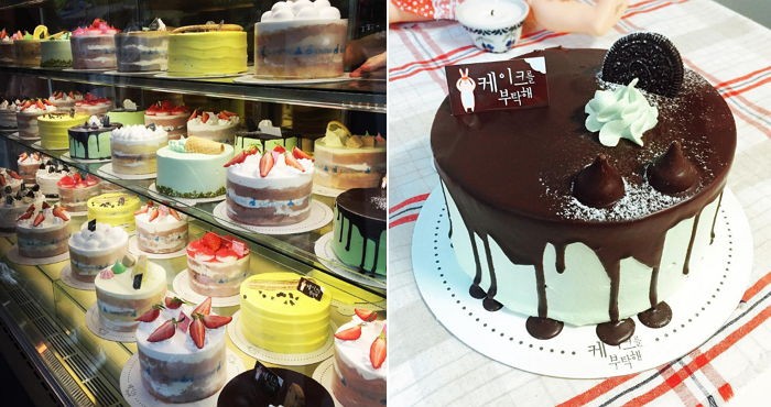 모든 케이크 ‘1만원’에 파는 건대 ‘케이크를 부탁해’