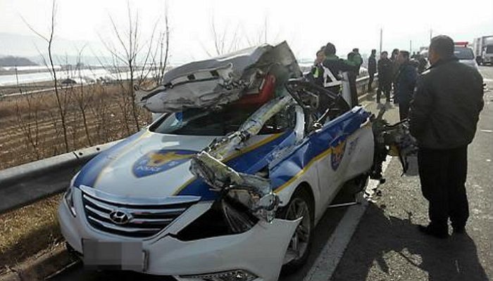 신고받고 출동한 순찰차에 보행자 치여 숨져