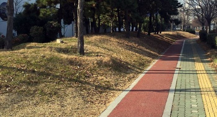 대낮에 길가던 20대 여성 성폭행하려던 30대 남성