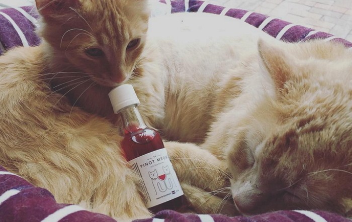 집사에게 강력 추천하는 ‘고양이 전용 와인’이 출시됐다