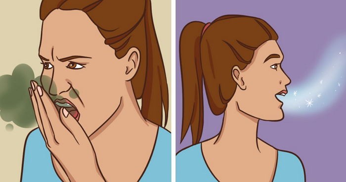 ‘이 음식’을 먹으면 ‘입 냄새’가 싹 사라진다