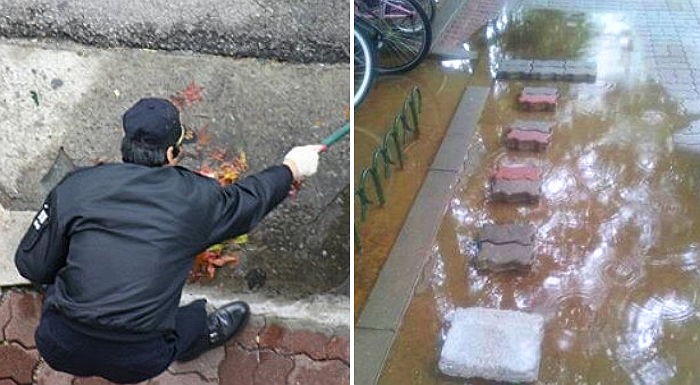 “주민들 젖을까”…물 웅덩이에 징검다리 만든 경비 아저씨