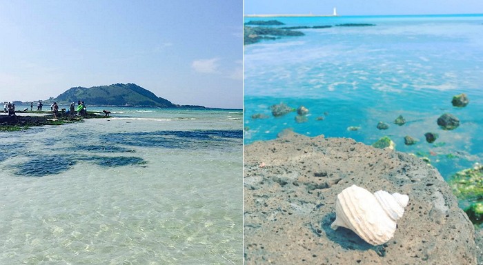 이스타항공, 내일(12일)부터 제주행 항공권 ‘9900원’