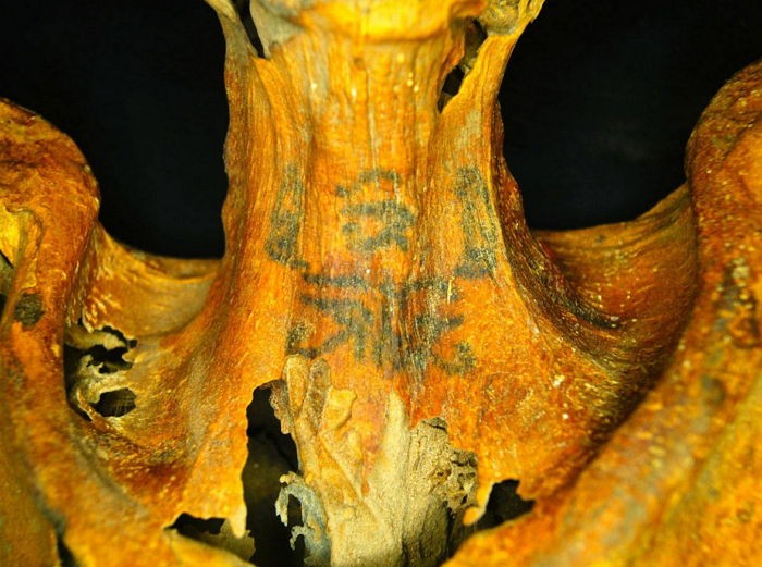 3000년 된 고대 미라에서 수십 개의 ‘문신’이 발견됐다 (사진)