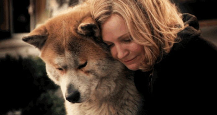 ‘치매’ 걸린 반려견들이 보이는 이상 행동 7가지