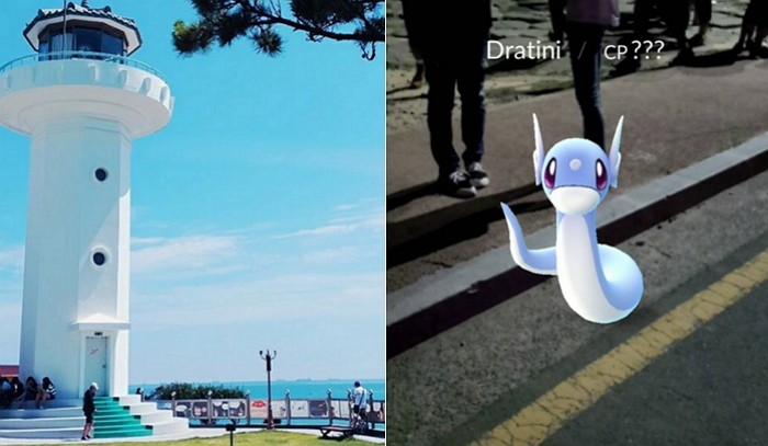 울산 간절곶에서 전설의 포켓몬 ‘미뇽’ 잘잡힌다