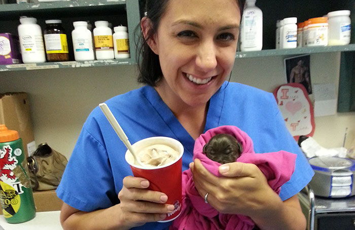 죽음 앞둔 아기 강아지를 입양한 안락사 담당 수의사