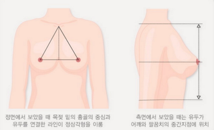 “아름다운 여자 유두는 연한 적색”…복지부 글 논란
