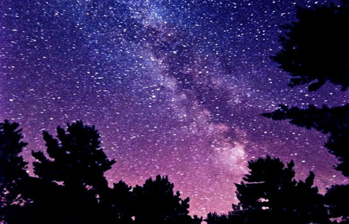 밤하늘 화려하게 수놓은 수천개의 유성우 (사진) - 인사이트