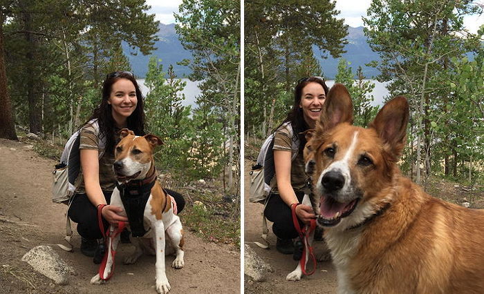엄마가 동생과 사진 찍자 질투났던 ‘엉아’ 강아지의 복수
