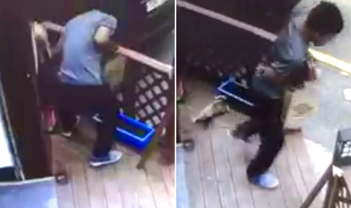 아기 길냥이 무참히 살해하고 도주한 남성은 ‘20대 노숙자’